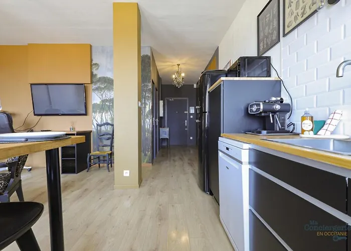 Jaures - Vue Panoramique Sur La Rose * Toulouse