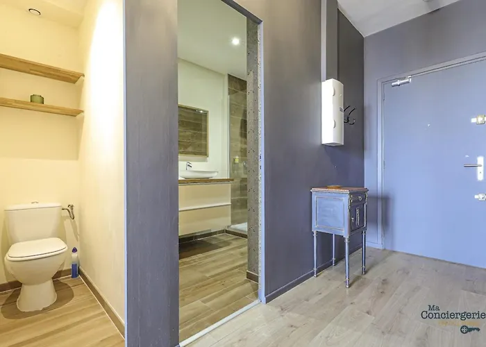 Jaures - Vue Panoramique Sur La Rose * Toulouse